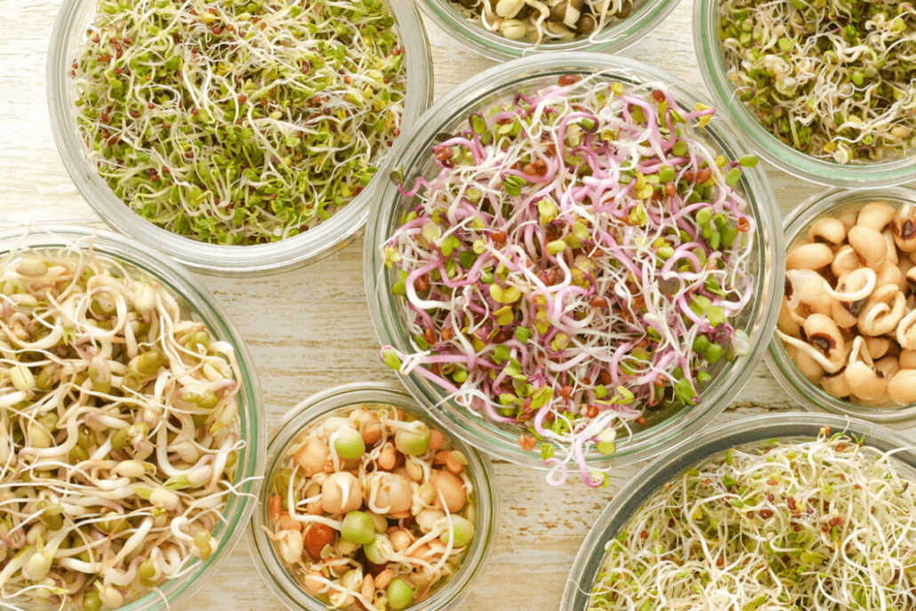 Sprouts nutritional benefits
