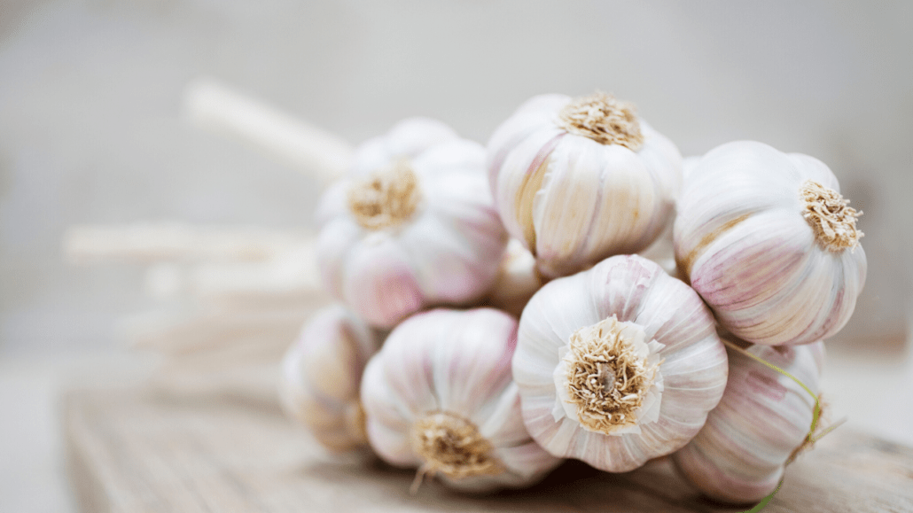 garlic nutritional benefits crunchstories