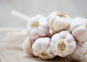 garlic nutritional benefits crunchstories