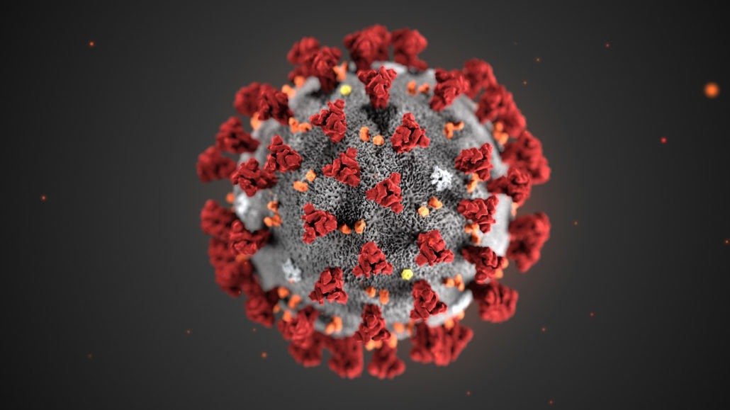 corona virus