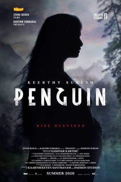 penguin movie