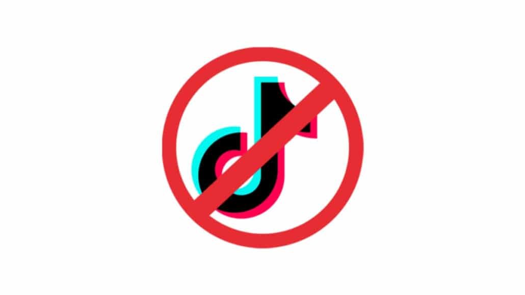 ban tiktok in india