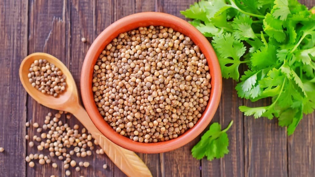 Cilantro Aka Coriander - Nutritional Benefits