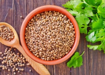 Cilantro Aka Coriander - Nutritional Benefits
