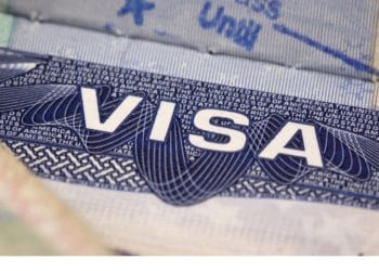 google backs MIT and harvard against new visa