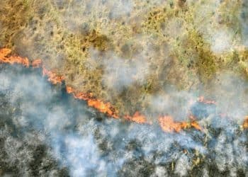 California's Wild Fires