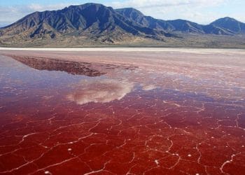 Lake Natron Scary Bird statues