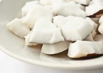 coconut meat