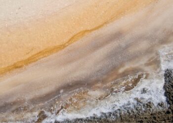 Why Bay of Bengal is Less Saline than Arabian Sea