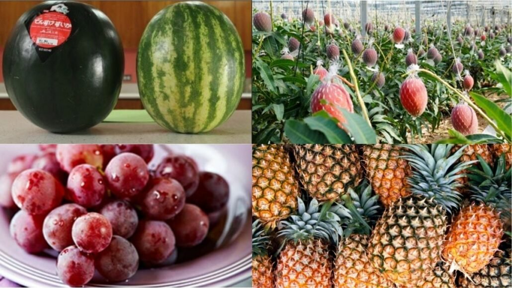 Expensive fruits