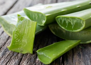 Aloe Vera is on its rescue mission to solve your skin and hair problems