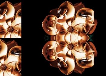 Magnolia: raw emotions meet spirited self-discovery